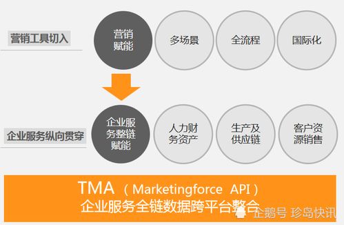 珍島視角 大數(shù)據(jù)營銷時代的核心驅(qū)動力與數(shù)字技術(shù)服務(wù)新范式